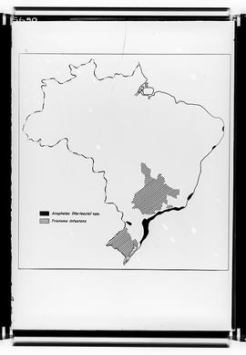 Reprodução de mapa do Brasil mostrando a área de incidência de Anopheles (Kerteszia) spp e a de T...