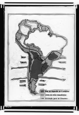 Reprodução de mapa da América do Sul mostrando a área de dispersão do Triatoma infestans, o limit...