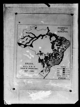 Reprodução de mapa sobre brucelose animal e humana no Brasil