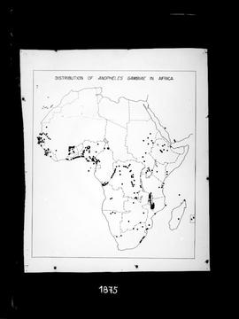 Distribuição de Anopheles gambiae no continente africano