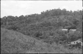 Fazenda Sta. Teresinha, caso de febre amarela em 1942