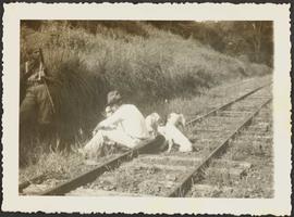 Pessoa com animais sentada na linha férrea