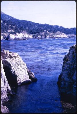 Parque de Point Lobos