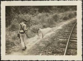 Pessoa caçando insetos na linha férrea